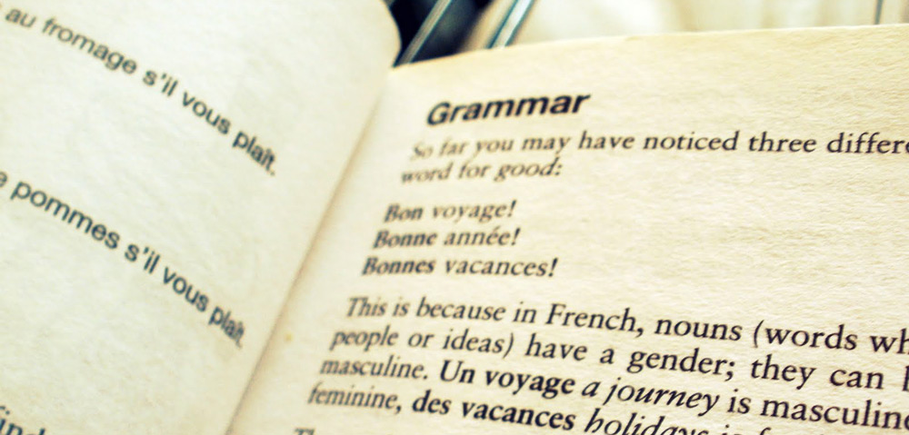 French grammar book