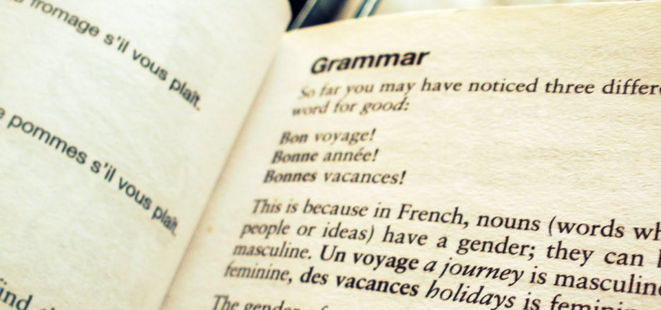 book french grammar learn