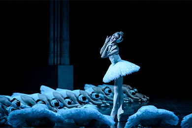 swan lake le lac des cygnes opera bastille opera de paris