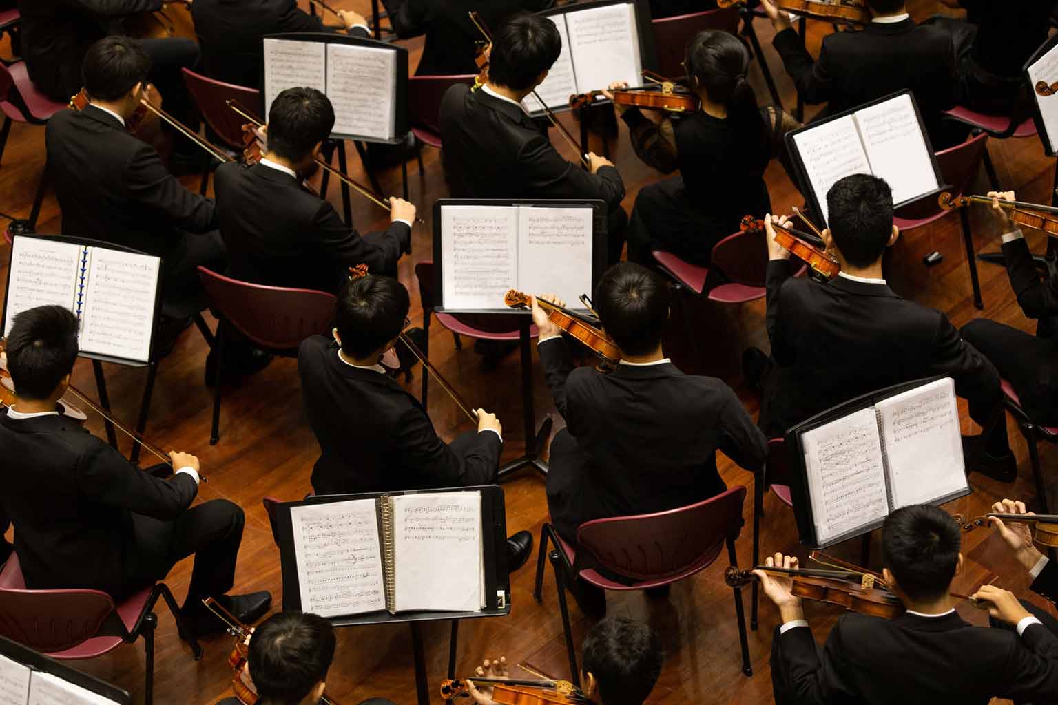 Orchestres Théâtre des Champs-Élysées