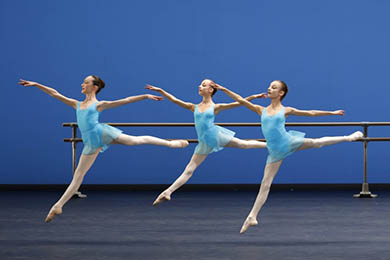 Démonstrations de l'école de danse de l'Opéra de Paris en 2024, Ballet et Danse