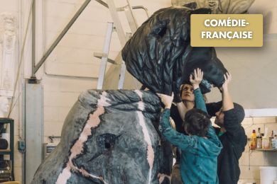 Hécube, pas Hécube à la Comédie-Française