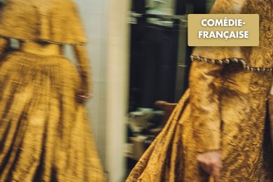 Le Bourgeois gentilhomme - La Comédie-Française - Theatre in Paris - Théâtre de la Porte Saint-Martin