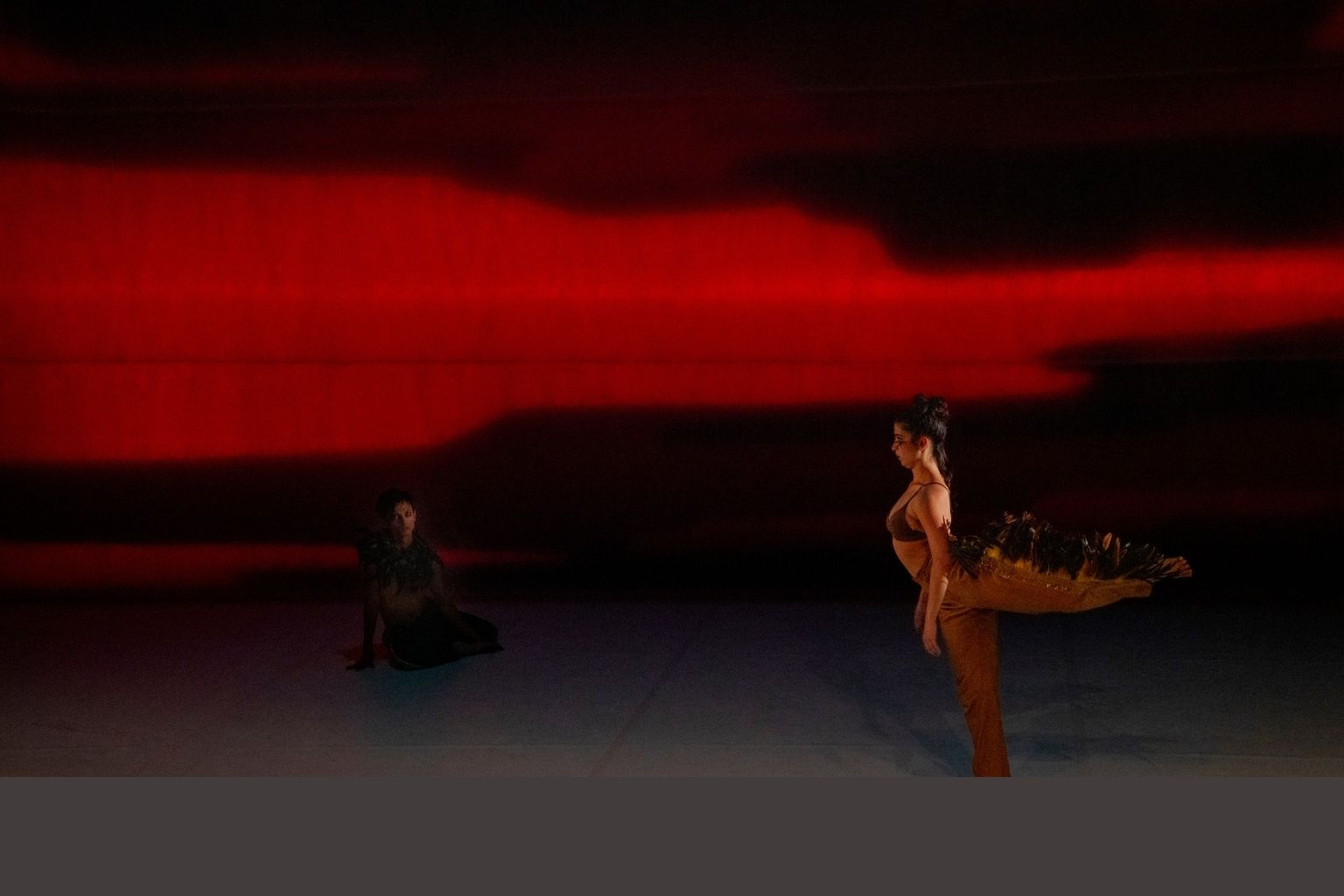 Birds by Lenio Kaklea - Chaillot National Dance Theatre - Theatre in Paris - Tickets - © DR