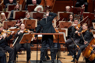 Symphonic Concerts at the Philharmonie de Paris - Theatre in Paris - Concert Tickets - © Stefan Cohen